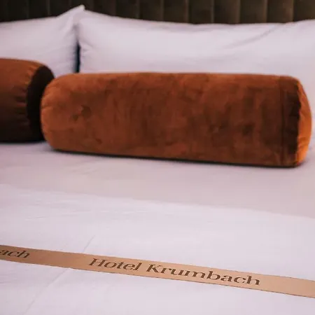 ホテル Hotel Krumbach