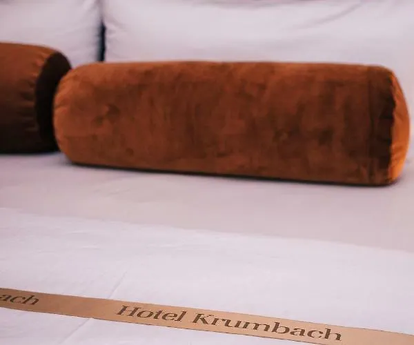 Otel Hotel Krumbach