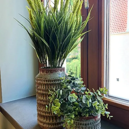 Hotel Krumbach Hotel